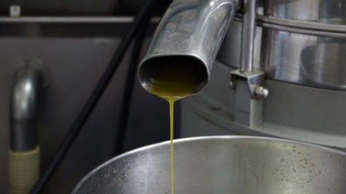 food industry oil water-separator